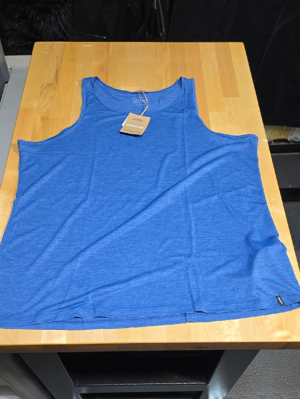 Patagonia Blue Women's Capilene Cool Daily Tank
